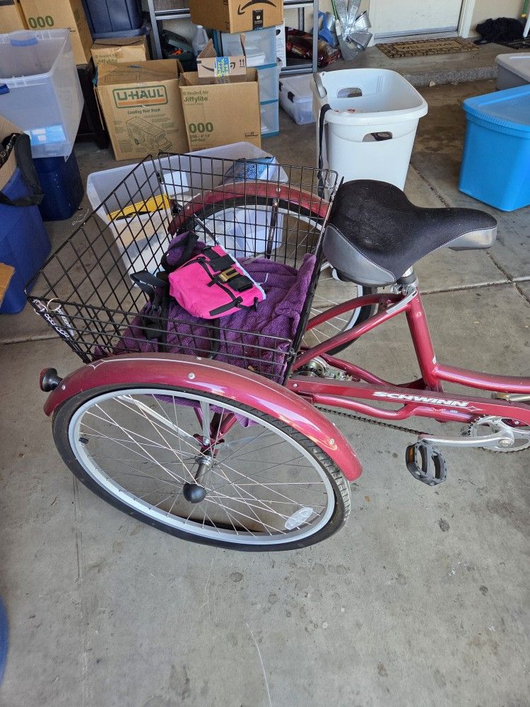 Schwinn Meridian Adult Tricycle, 26 inch wheels, rear storage basket