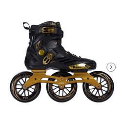 Inline Skates