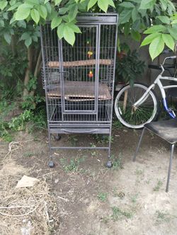 Bird Cage