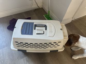 Crate 22”L X 13”H X 11”W