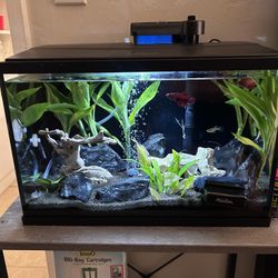 5 Gallon Aquarium Entire Set Up -With Fish, Stand , Live Plants, & Extra Supplies
