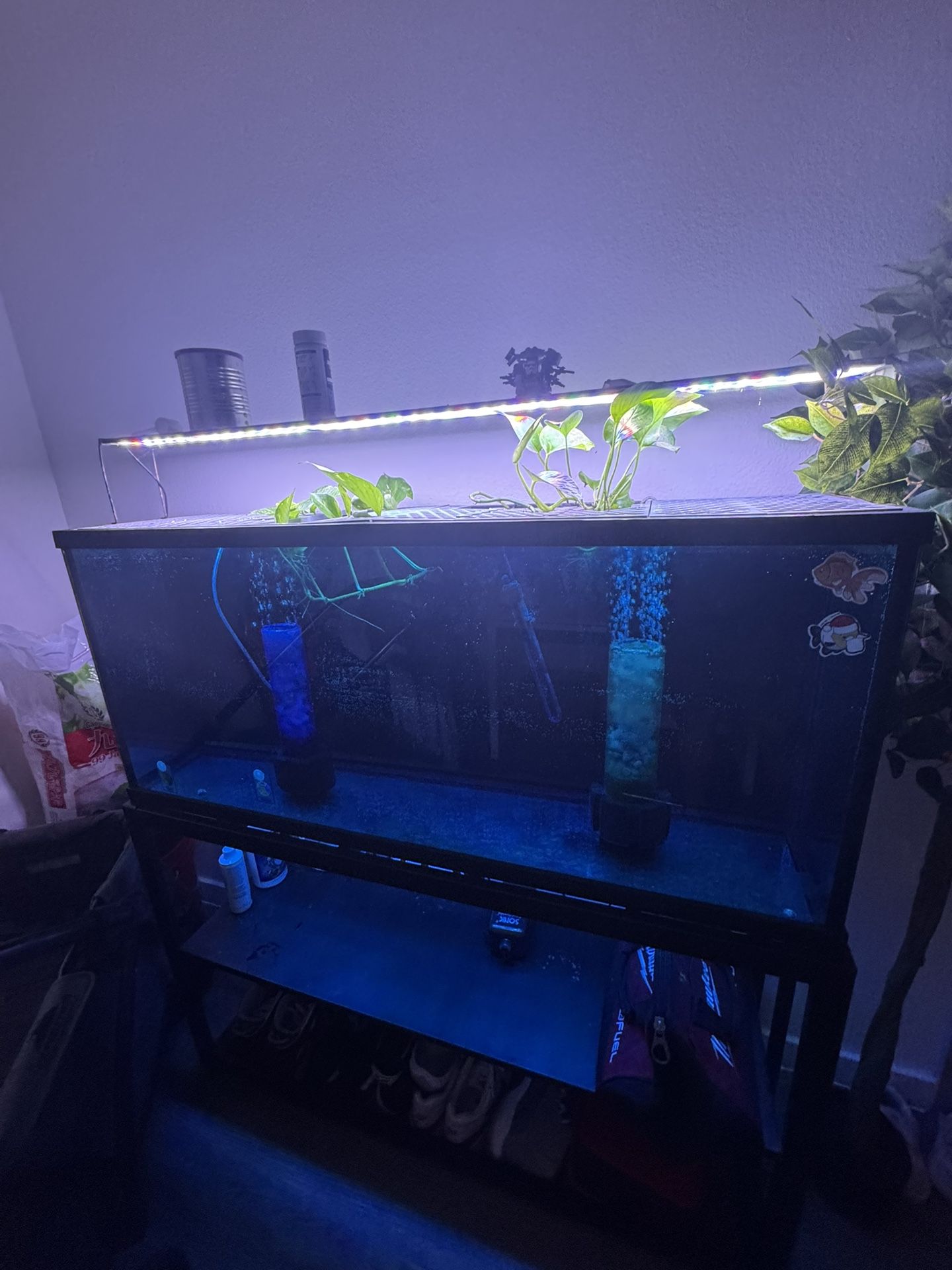 55 Gal Tank