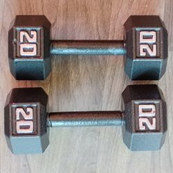 PESAS DE 20 LB SET  POR $25 FIRM 
