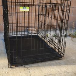 42- Inch Dog Wire Crate