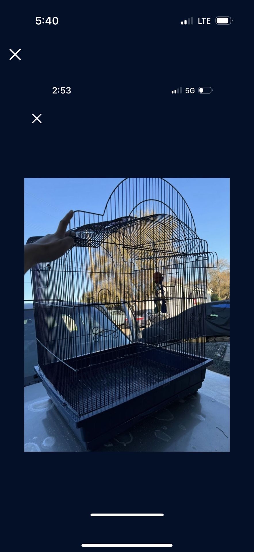 Large Bird Cage
