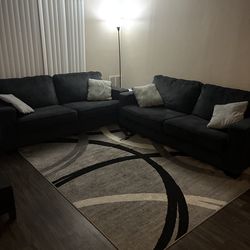 Two Modern comfy sofas