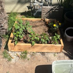 Square Garden Bed 