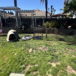 XL dog house with 3- dog kennel all for $100