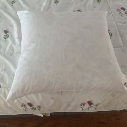 4 Feather Pillows