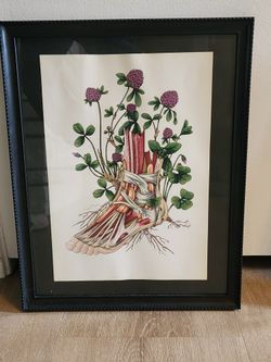 Foot Anatomy Print With Frame