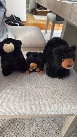 Three black cute Bear stuff animals