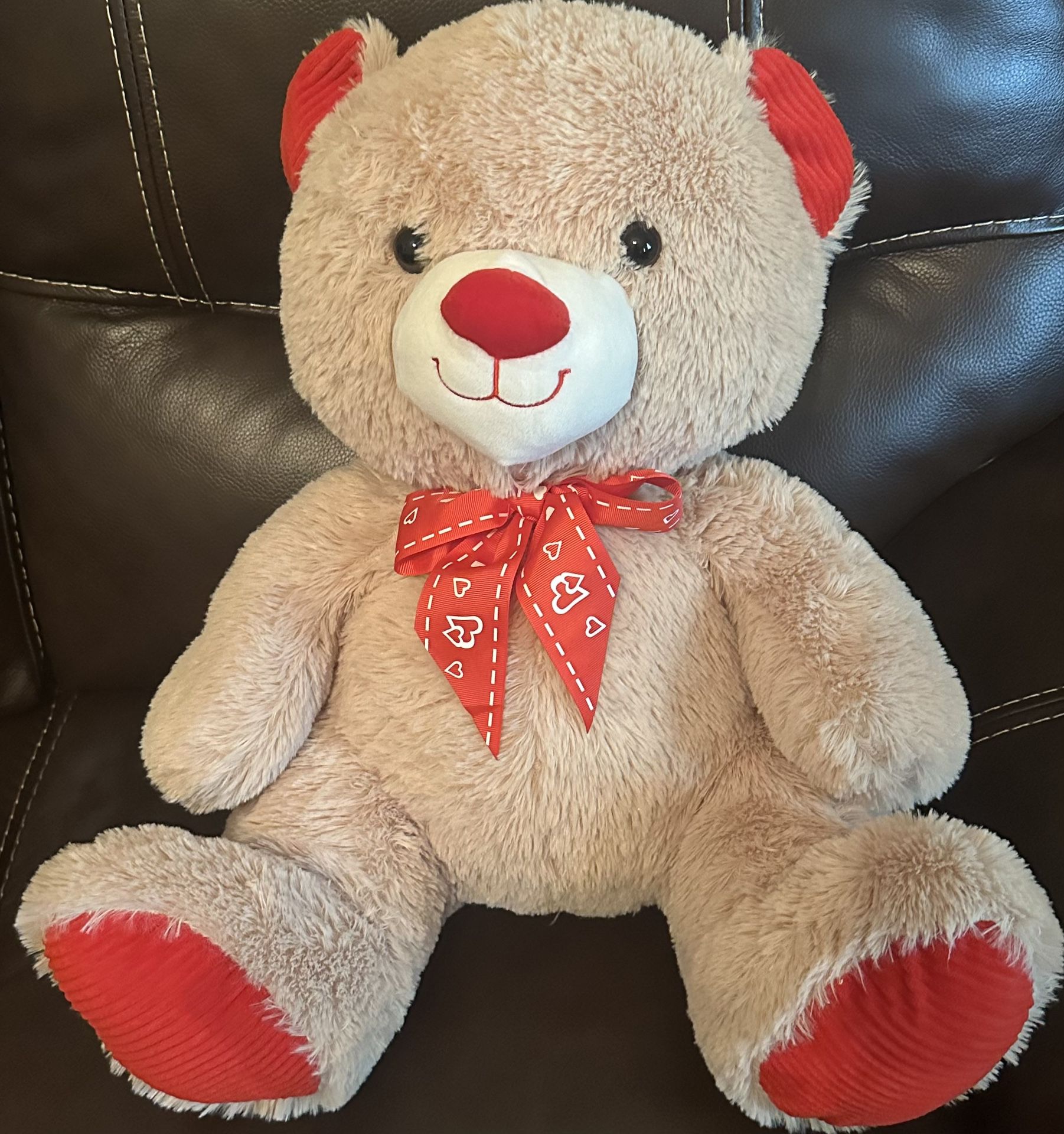 Teddy Bear/ Plush 