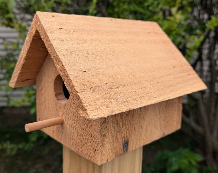 Red Cedar Bird House 