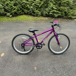 Purple Kids Mountain Bicycle