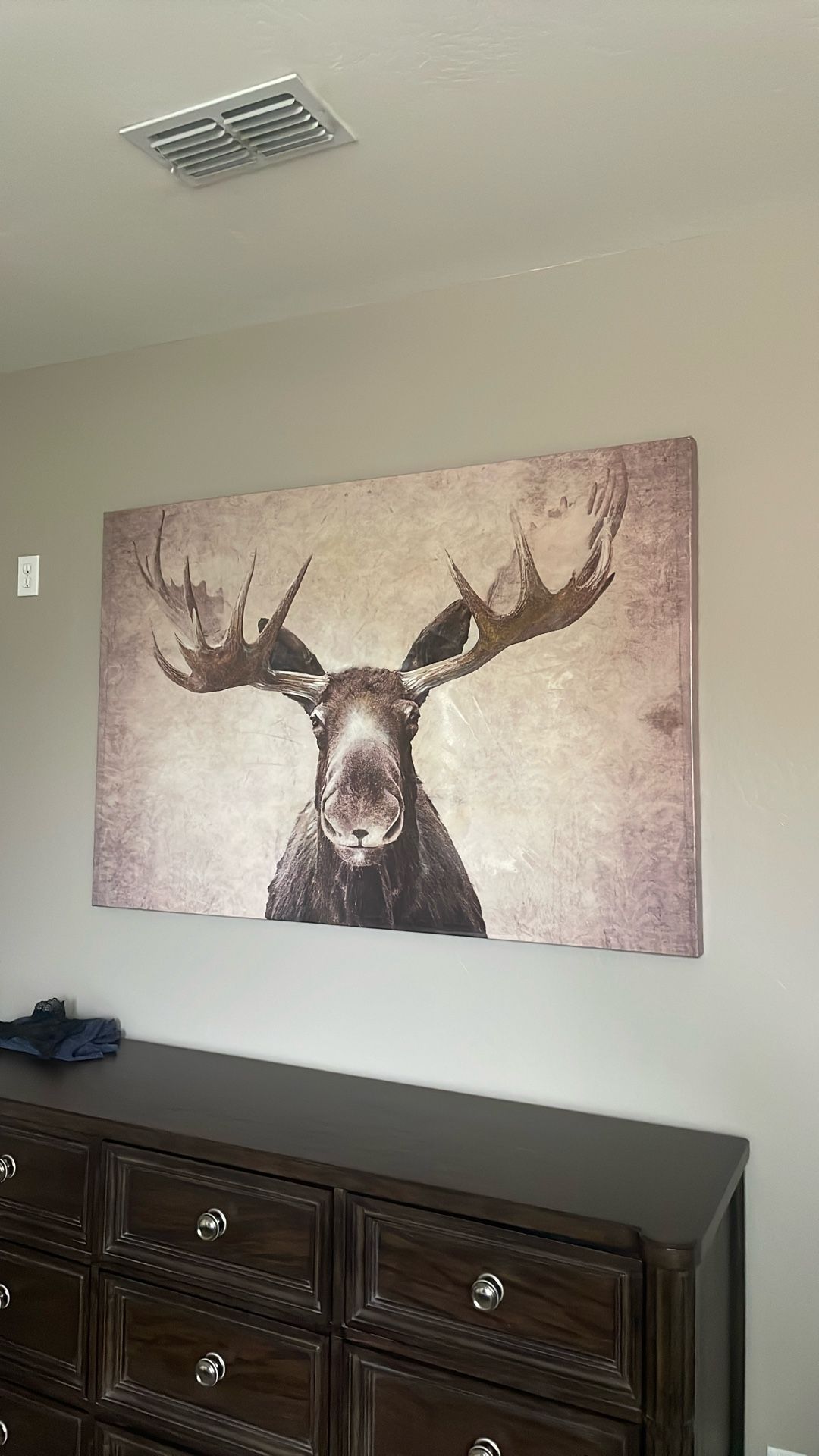 Moose
