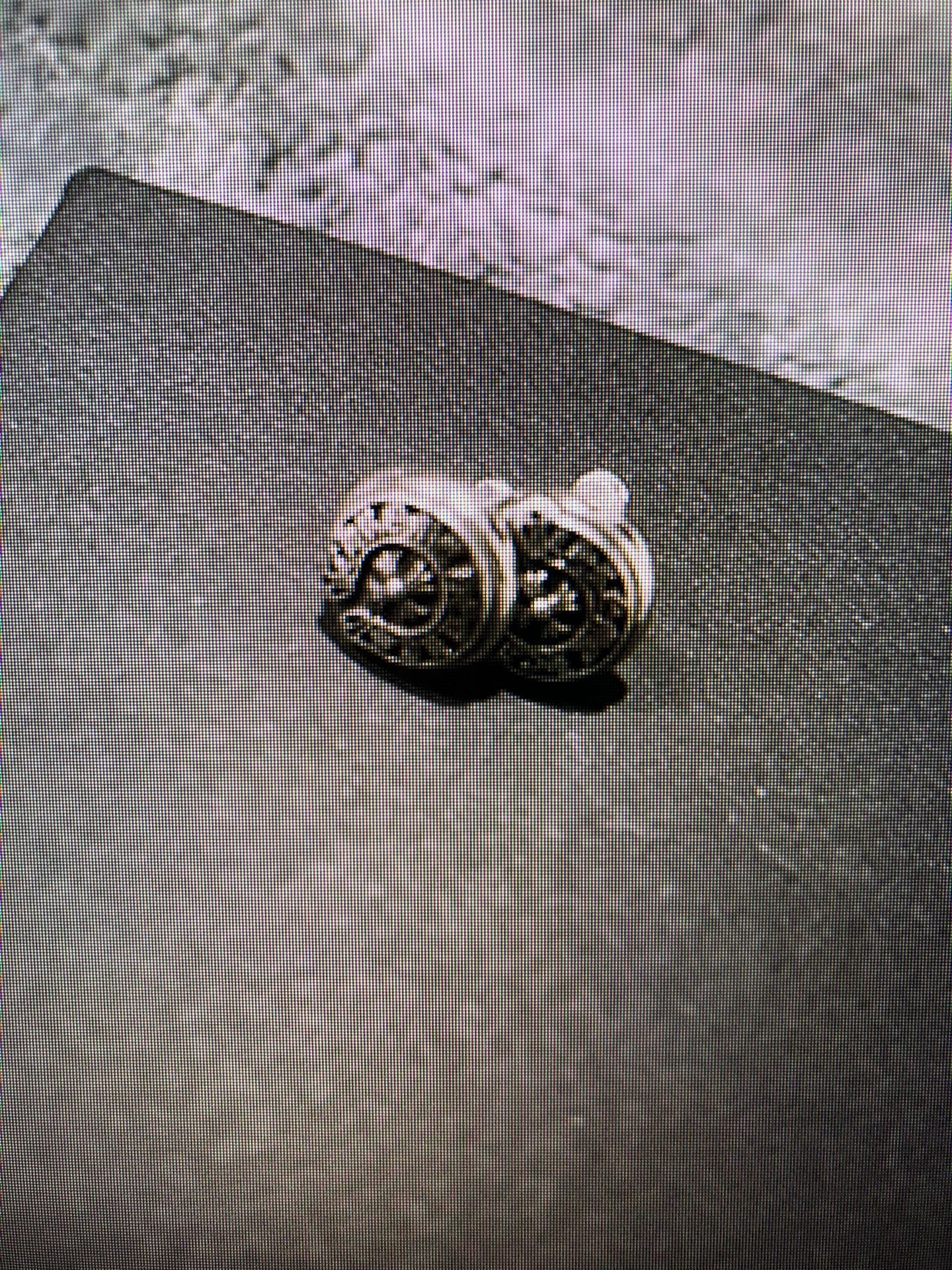 Chrome Hearts Earrings 