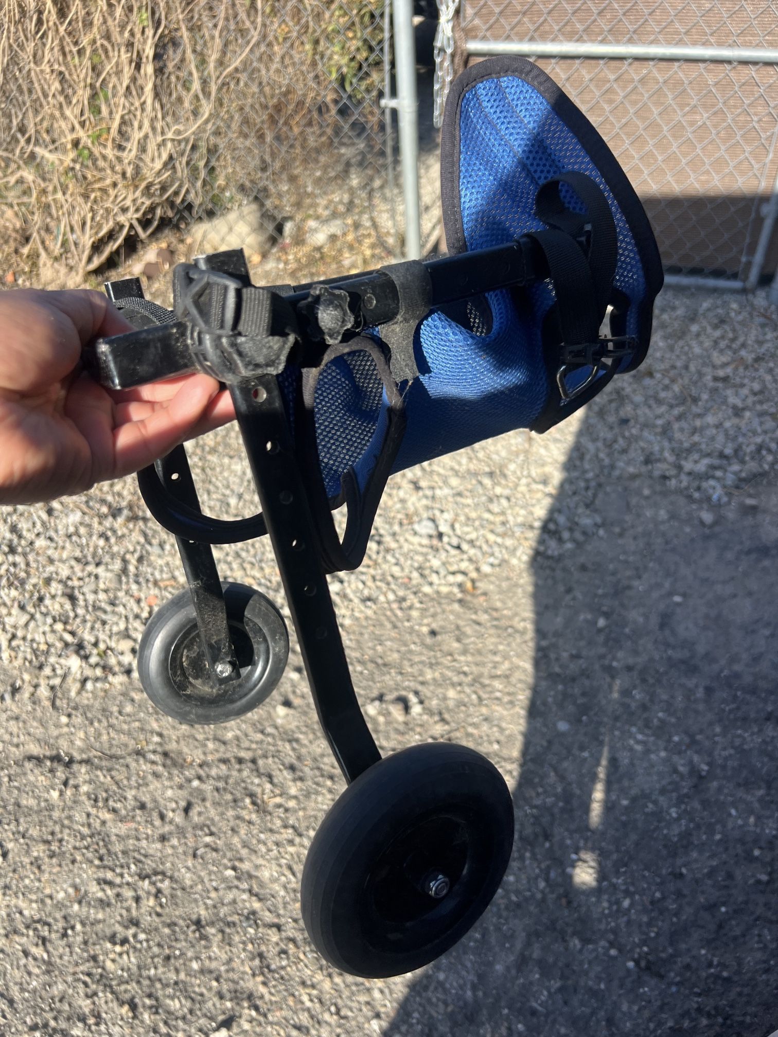 Free Dog Wheel Chair