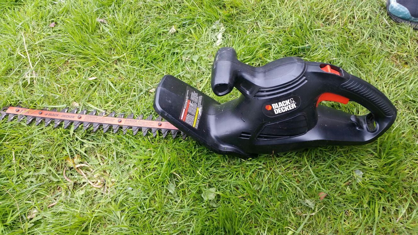 Electric chainsaw