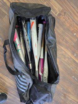 Bag Of Baseball Bats