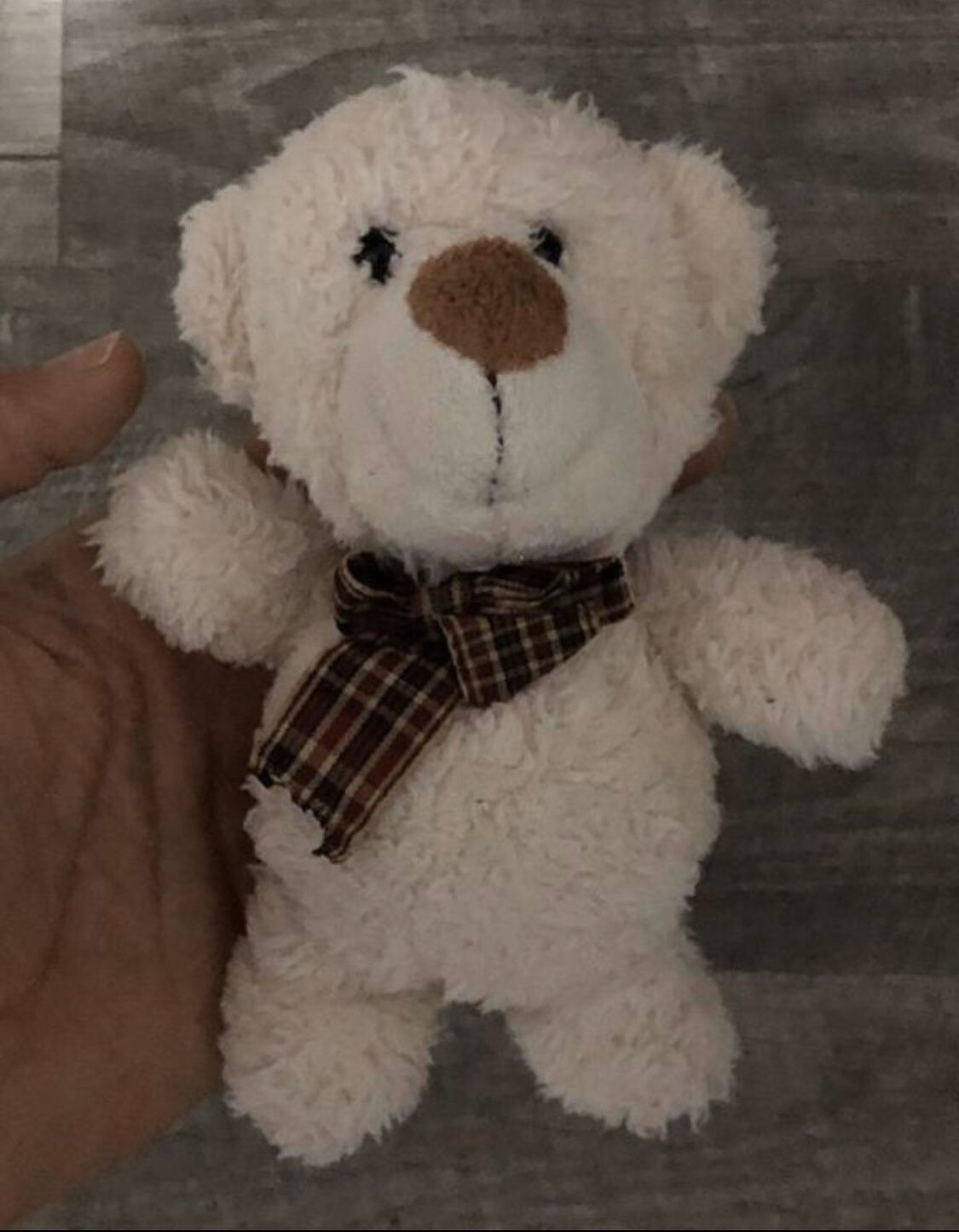Cute mini teddy bear