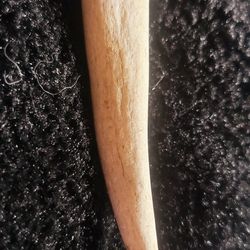 Real Deer Antler Tip