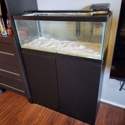 20 Gallon Long Aquarium With Stand, Filter, And Light