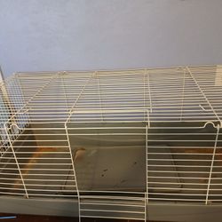 Guinea Pig Cage