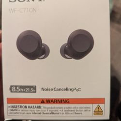 Sony WF-C710N Truly Wireless Noise-Canceling Earbuds, Black