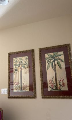 Framed Pictures Decor