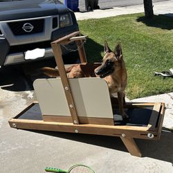 Large(or medium) dog treadmill
