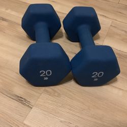 20lbs Dumbbell Pair - All In motion  BEST OFFER