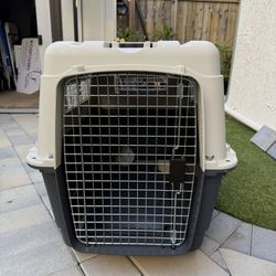 Airline Approved Travel Kennel  31”x22”x23 