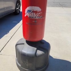 Kicking/Punching Wave master