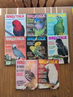 1992 Bird Talk Magazine