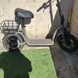Electric Bike 