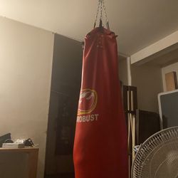 Punching Bag