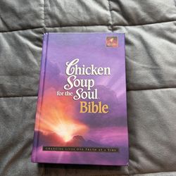 Chicken Soup for the Soul Bible – Great Condition