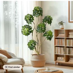 6Ft Faux Floor Tree Fake Trees in Decorative White Planter with Multiple Trunks Design, Artificial Umbrella Schefflera Tree for Home Offices Porch Dec