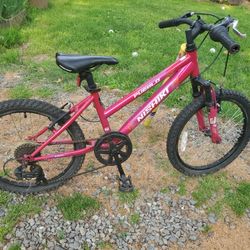 Nishiki Youth Bike And Youth Diamondback Bike
