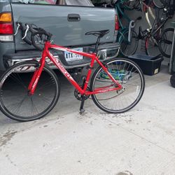 Professional Cycling Bike