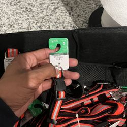Dog Collar & Harness 