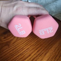 WEIGHTS, 2 LB. LOT OF TWO,  PINK
