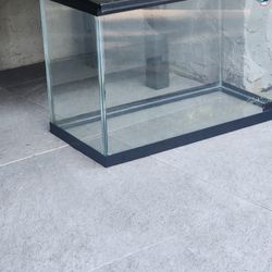 20 Gallon Fish Tank