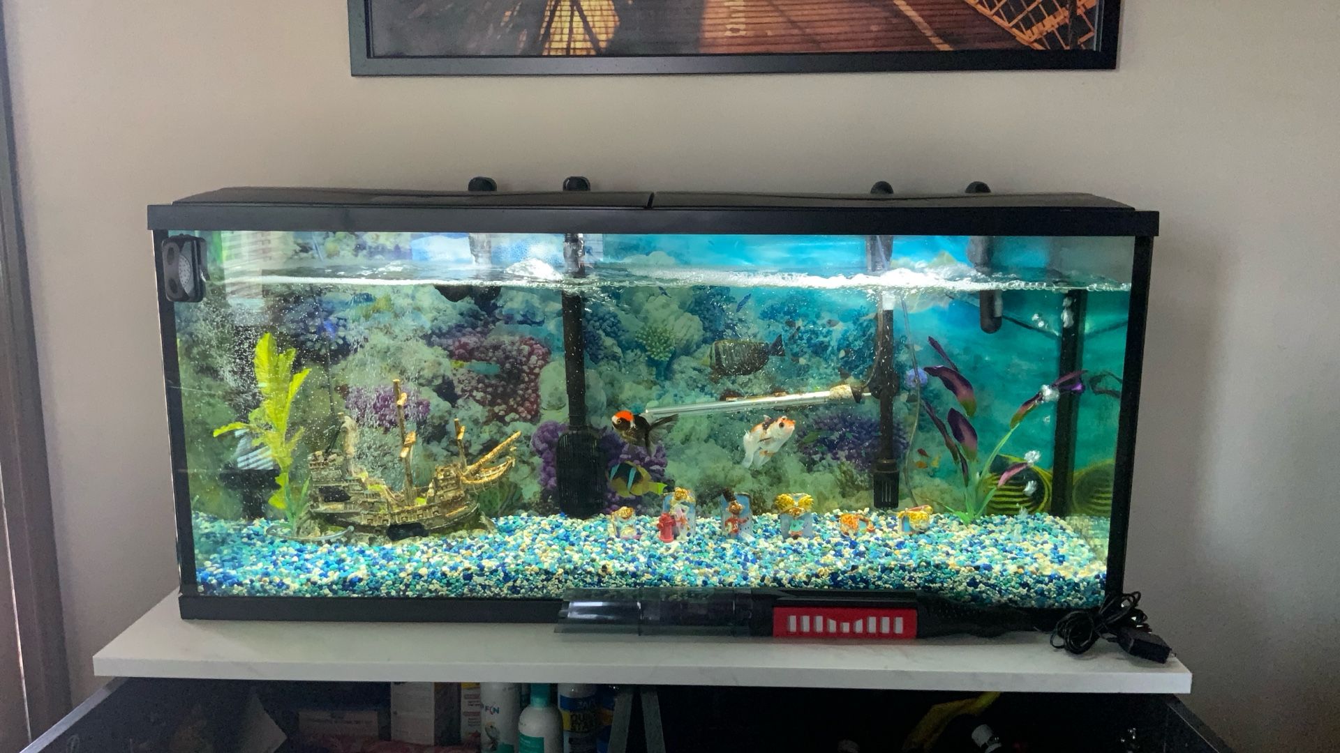 Mesa Y Pecera Y Tanques Motivo De Mudanza