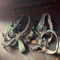 Climbing Harness 