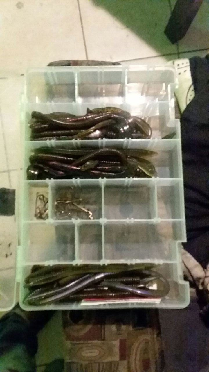 Fishing worms and hooks