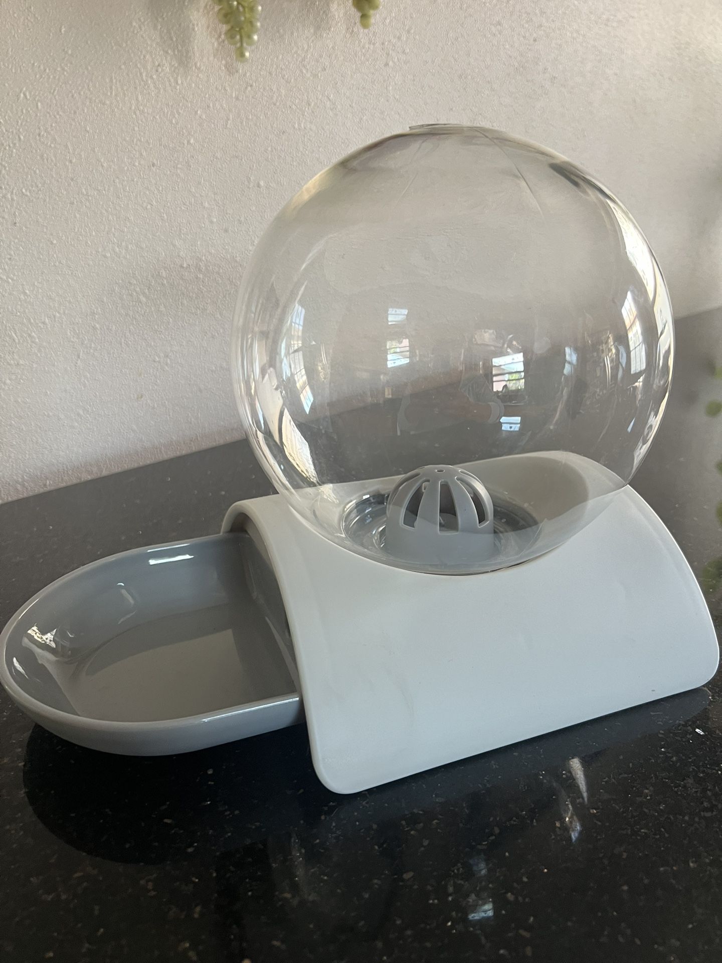 Pet Water Dispenser New