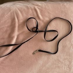 Dog Leash 