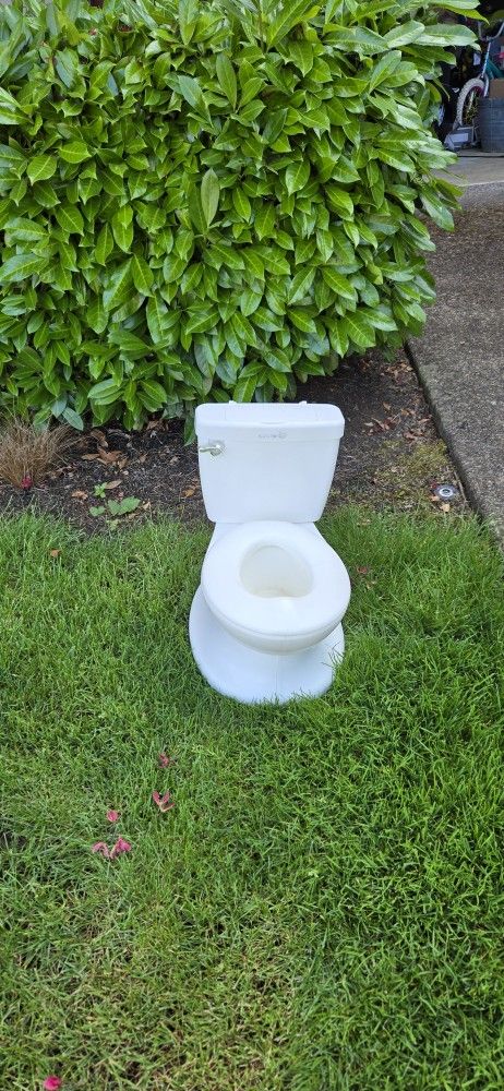 Potty Chair