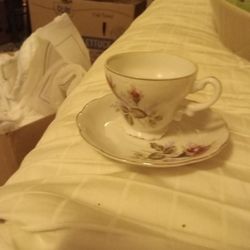 Japan Rose Footed Cup And Saucer